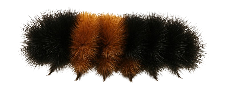 My Neocities Image